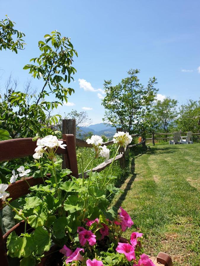B & B La Primavera ペルゴラ エクステリア 写真